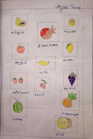 47042-KKD-KUNJU -AYISHA THANAZ.jpeg