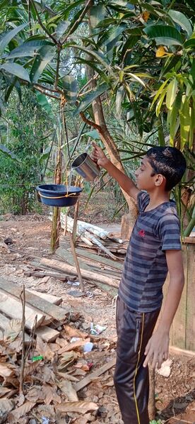 പ്രമാണം:47089 229.jpeg