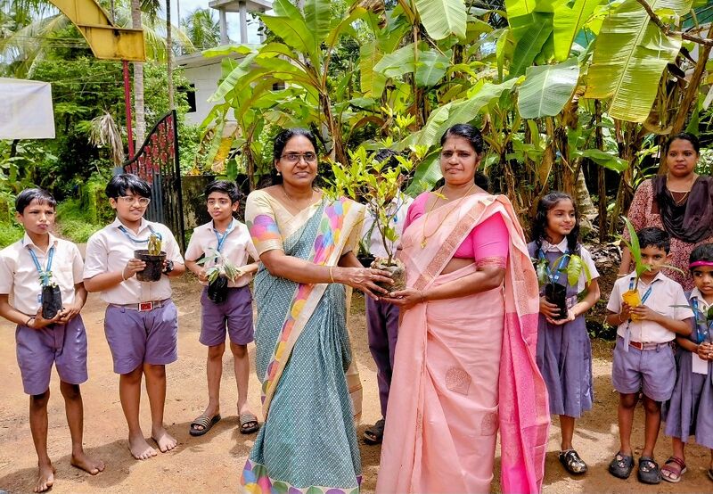 പ്രമാണം:Env05.jpeg