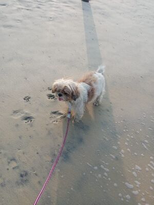 WhatsApp Image 2022-02-02 at 10.41.14 AM.jpeg