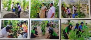 WhatsApp Image 2022-03-15 at 11.13.04.jpg