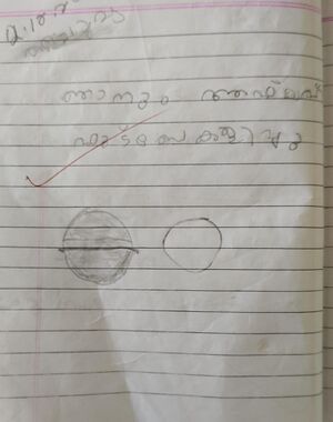 15243-WYD-KUNJ-HATHIB HANAN T K.jpg