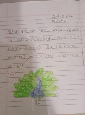 18635-MLP-KUNJ-Mizin P.jpeg