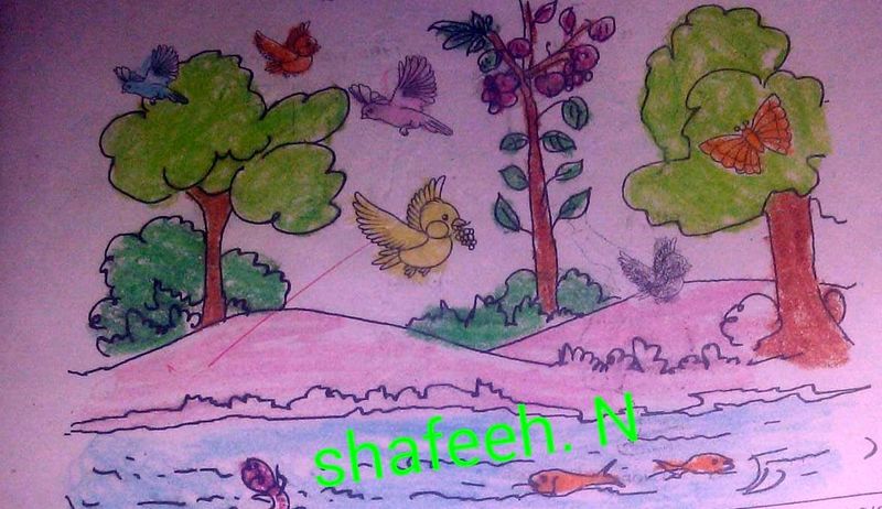 പ്രമാണം:19838 Shafeeh N.jpeg