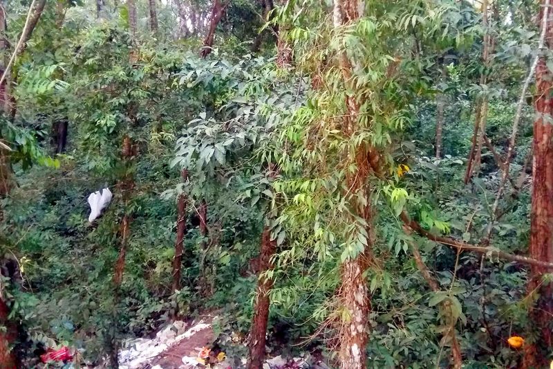 പ്രമാണം:20161110 175514eryjmntbh.jpg