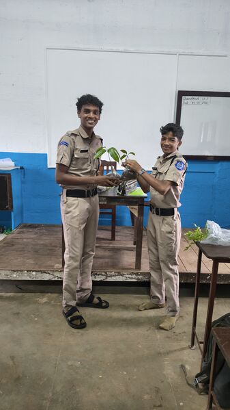 പ്രമാണം:23024 environment day 2026.jpg