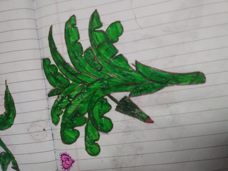 പ്രമാണം:26327-EKM-KUNJ-TIVIN JOE THOMAS.jpg