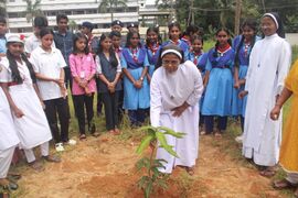 വിവിധ ക്ലബുകളുടെ നേതൃത്വത്തിൽ ഹെഡ്മിസ്ട്രസ് വൃക്ഷത്തൈ നടുന്നു