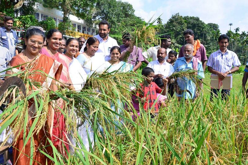 പ്രമാണം:29312 koithulsavam10.jpeg