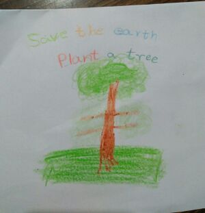 29411 EnvironmentDay21.jpeg