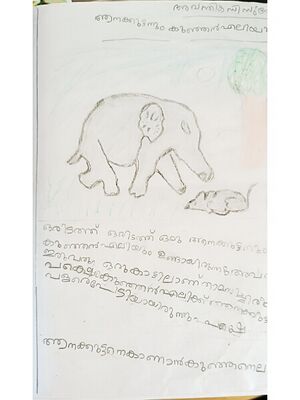 29427-IDK-KUNJ-AVANTHIKA C SURESH.jpg