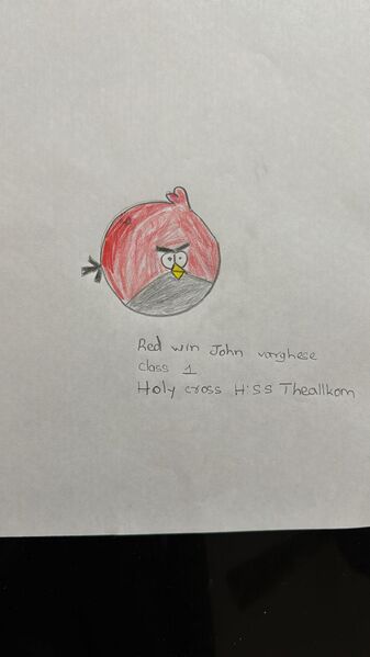 പ്രമാണം:31049-KTM-KUNJ-REDWIN JOHN VARGHESE.jpg