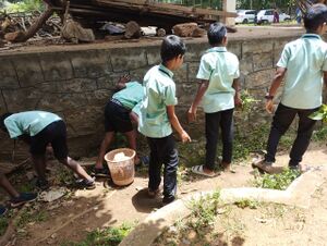 31262-PTA Dryday3.jpg