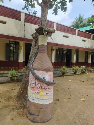 32002 antidrugday2.jpg