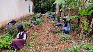 ഔഷധത്തോട്ടം