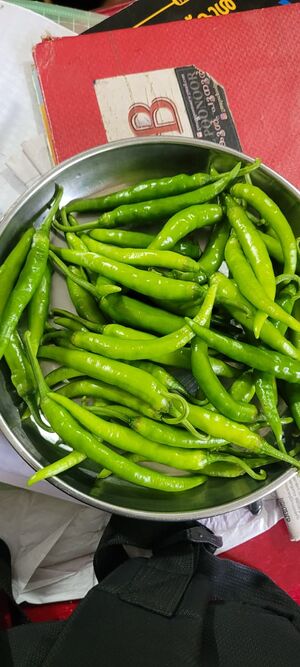 47037 ORGANIC FARMING 5.jpg