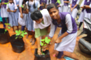 Padam 1 padathekku 6.png