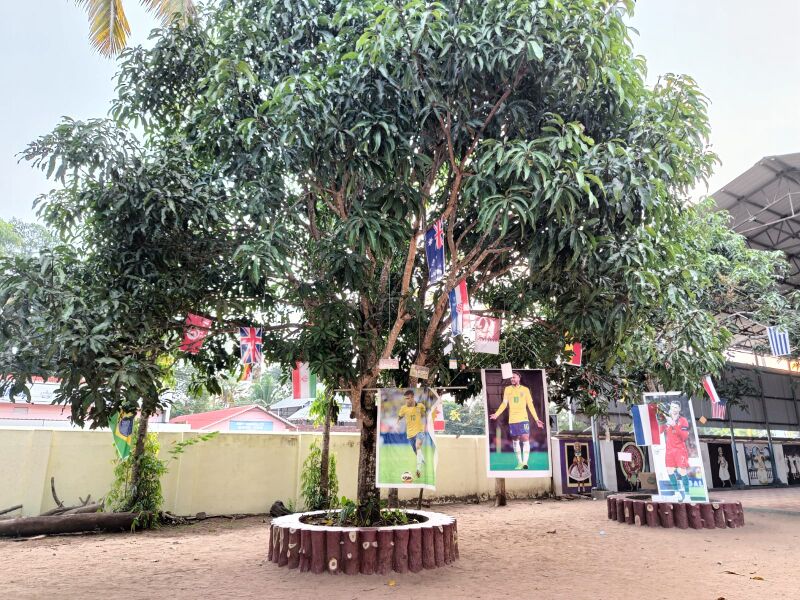 പ്രമാണം:Worldcuptree 35052 22 (3).jpg