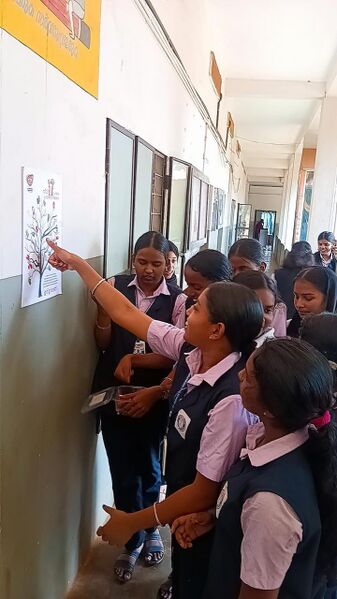 പ്രമാണം:12045 KGD SEED4.jpeg