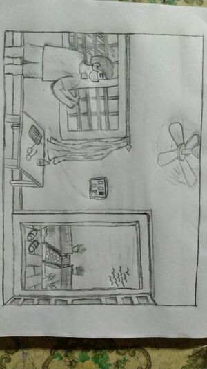 14550-go corona go.jpg