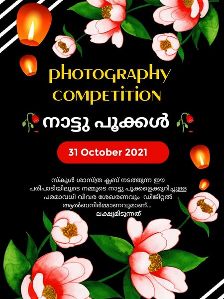 പ്രമാണം:15075 Butterfly1.jpg