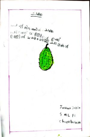 30508-IDK-KUNJ-JUAN JOBIN.jpeg