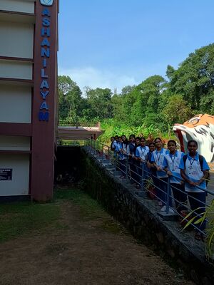 32035 little kites Training.jpg