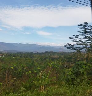 42653 - Entegramam.jpeg