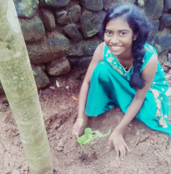 പ്രമാണം:44018 e18.jpg