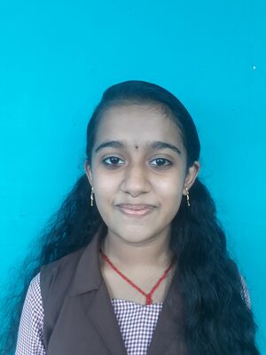 44055 lk10.resized.jpg