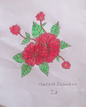 44372-TVM-KUNJ-MANASA RAJMOHAN 1A.jpg