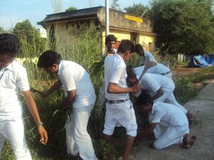 Cleaning 15 35052 (1).jpg