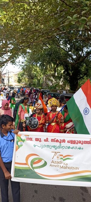 Independence day pic 6.jpeg