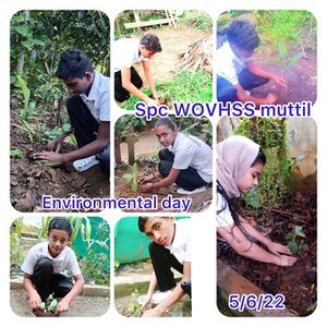 June 5 environmental day.jpg