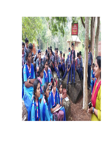 പ്രമാണം:Scout 44032.png