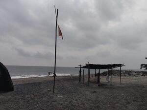 കർക്കിടക വാവുബലി കടപ്പുറം.jpeg