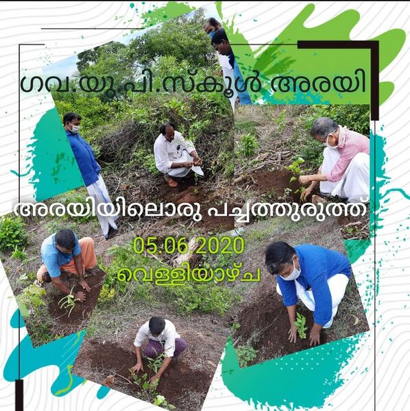 പ്രമാണം:12335-veg30.jpg