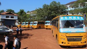 14028 sb1.resized.jpg