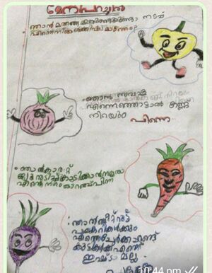 15316-WYD-KUNJ-FATHIMA SANAYA.jpg