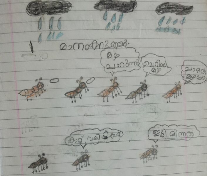 പ്രമാണം:15461-WYD-KUNJ-ARHAN ALI.jpg