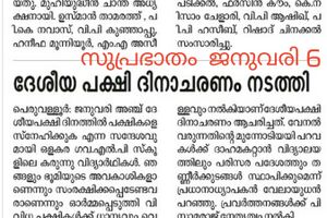 19833 birds day 3.jpg