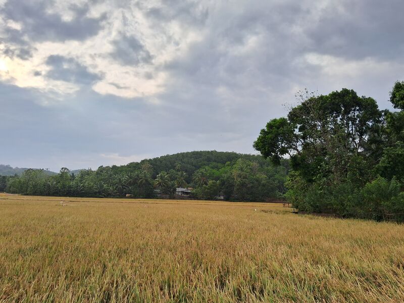 പ്രമാണം:24028 pazhayannur.jpg