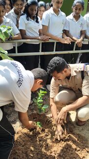 പരിസ്ഥിതി ദിനാചരണം