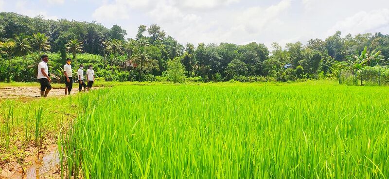 പ്രമാണം:42021 10000.jpg