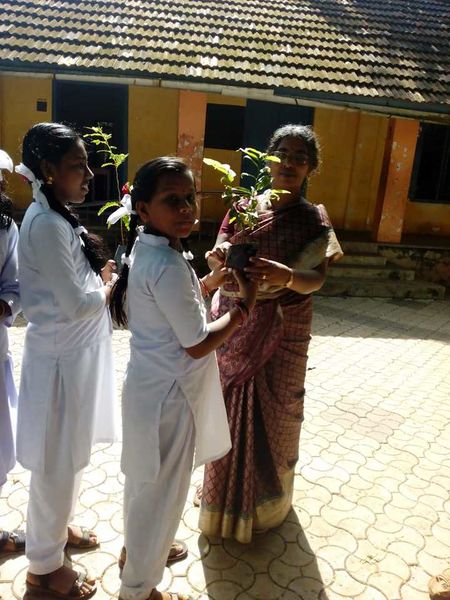 പ്രമാണം:44050 599.jpg