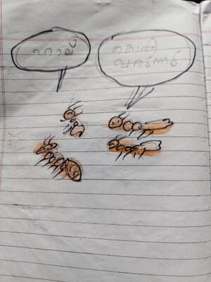 45322-KTM-KUNJ-ALSTIN .jpg