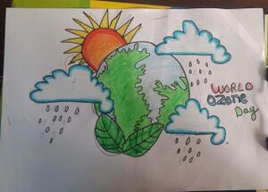 47045-ozone day 12.jpeg