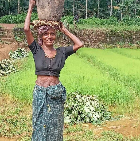 പ്രമാണം:48478 Gramakazhchakal.jpeg