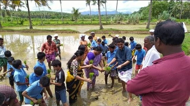 പാഠം ഒന്ന് : പാടത്തേക്ക നെൽവയൽ സന്ദർശനം