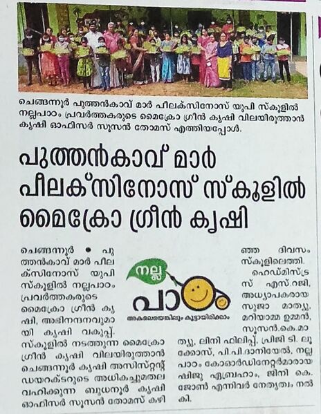 പ്രമാണം:Microgreen plantation.jpeg